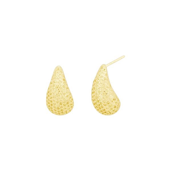 Brincos de Prata Dourada Gota br47620
